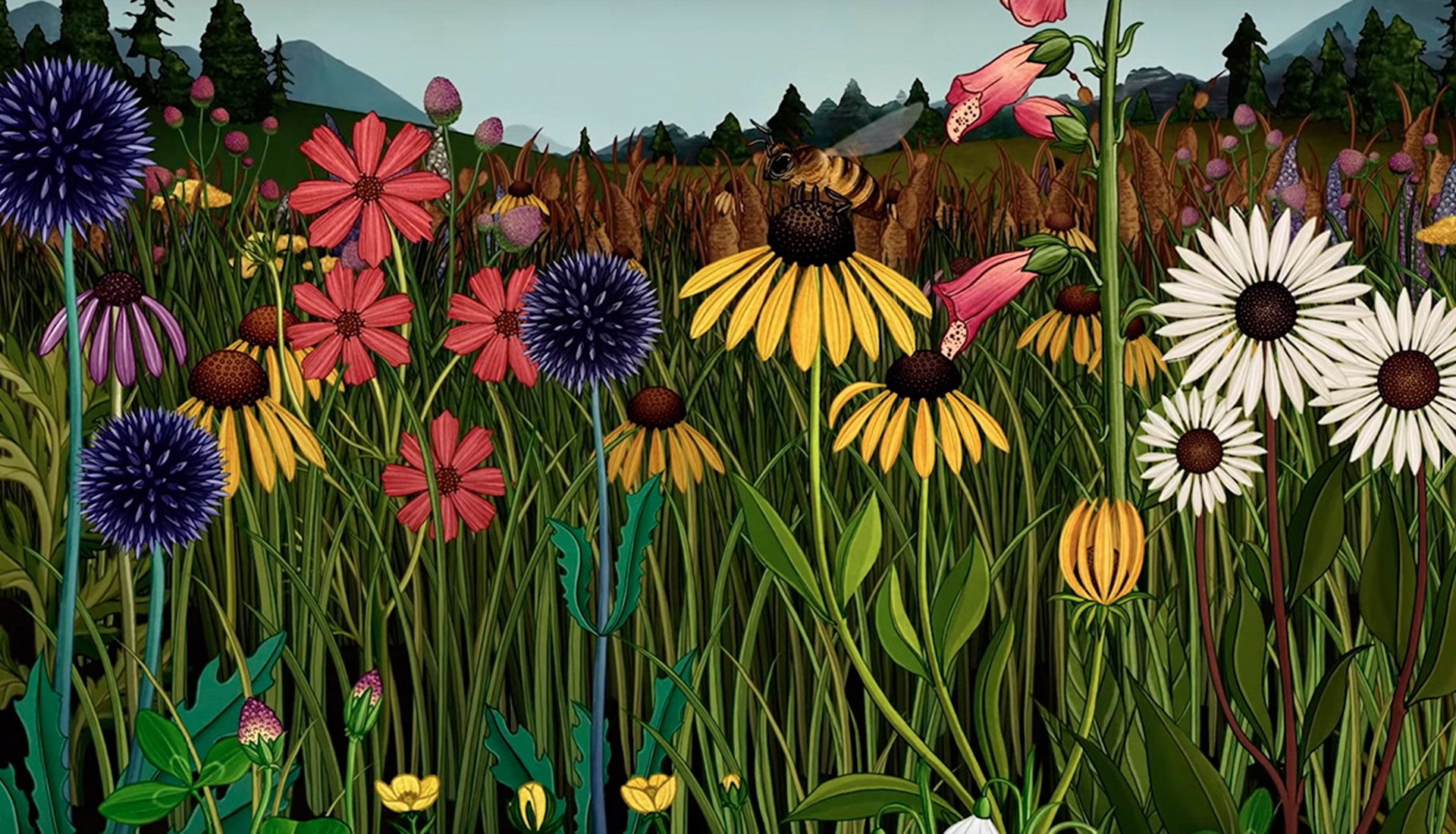 Story of Flowers: ботаника Кэти Скотт