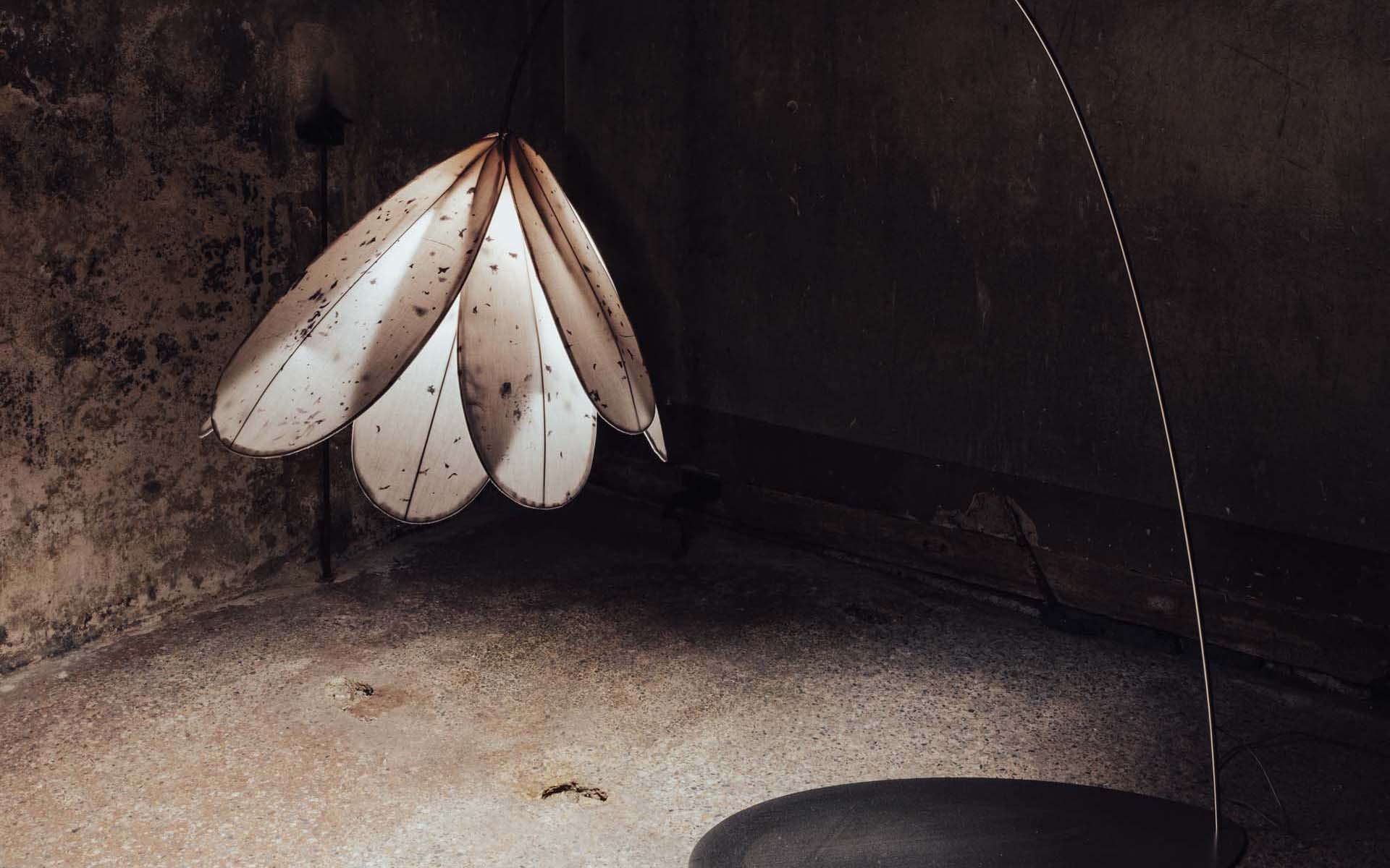 Новые имена: Сусанна Смаилова и Илья Моисеев — о проектах студии 11 (eleven)