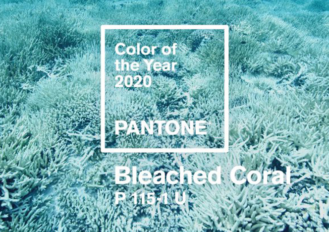 Цвет 2020 года: оттенок выбеленного коралла