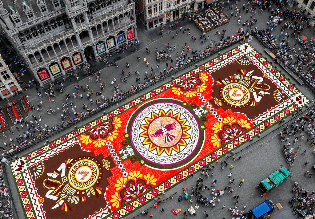 Цветочный ковер в Брюсселе на видео Йорга Дайбера