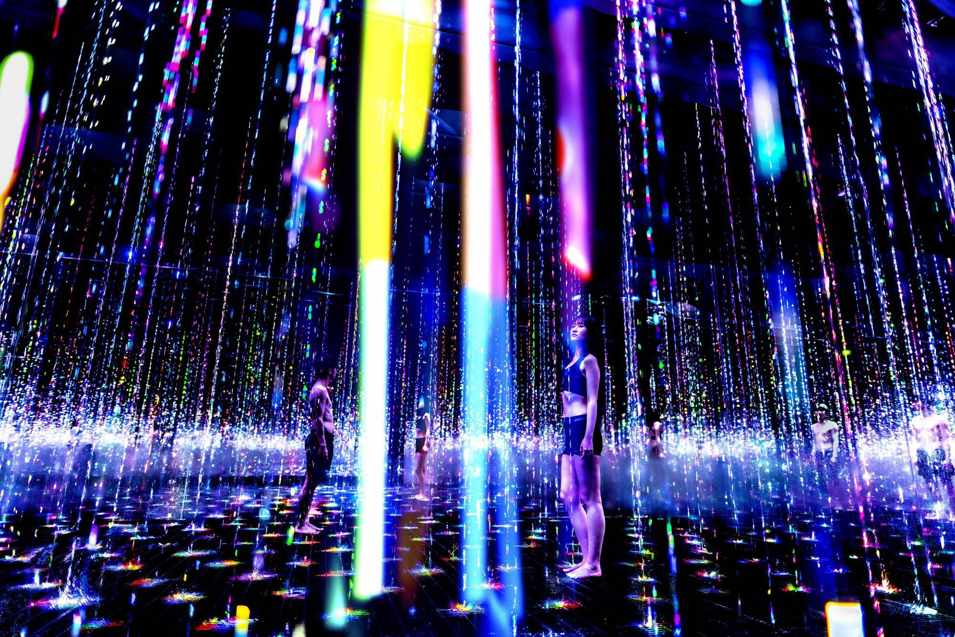 Иммерсивная выставка teamLab и TikTok в Токио