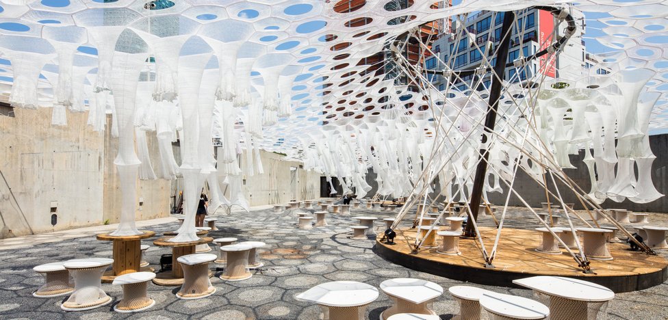 Дженни Сабин: экологичный science-art в MoMa