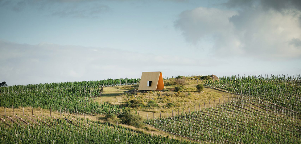 Архитекторы MAPA: часовня в виноградниках