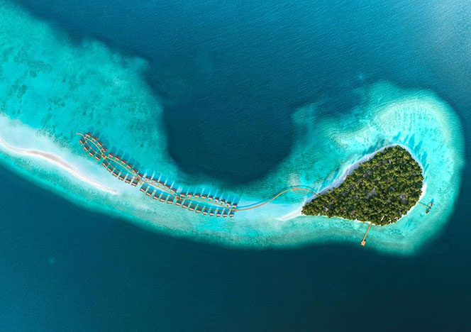Джейсон Тейлор создает подводный музей на Мальдивах