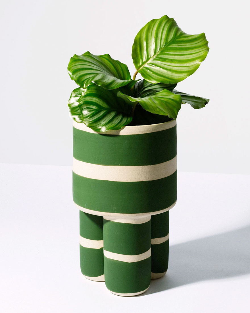 Дизайн для растений фото