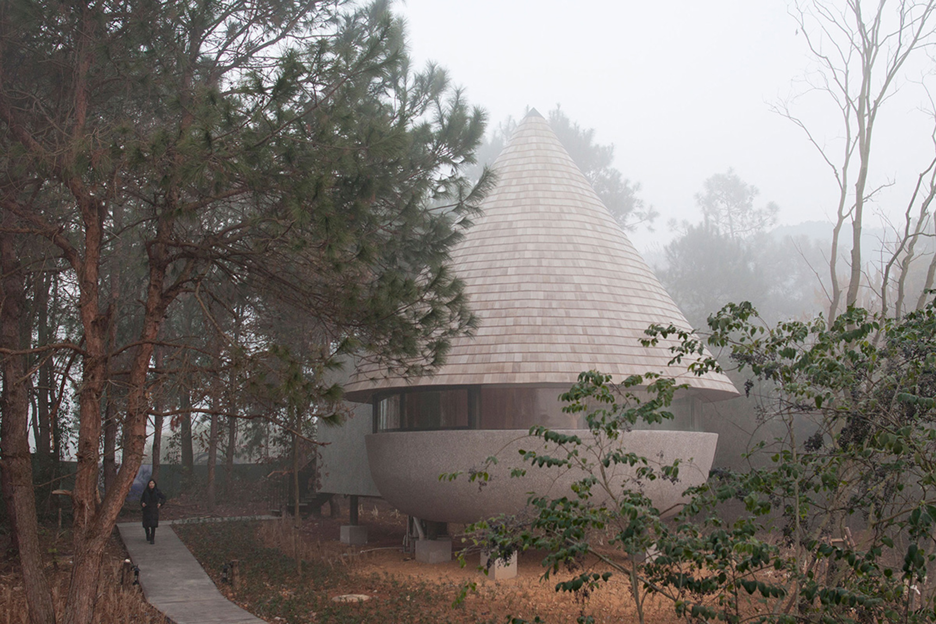 Дом-гриб в сосновом лесу по проекту ZJJZ Architecture Practice