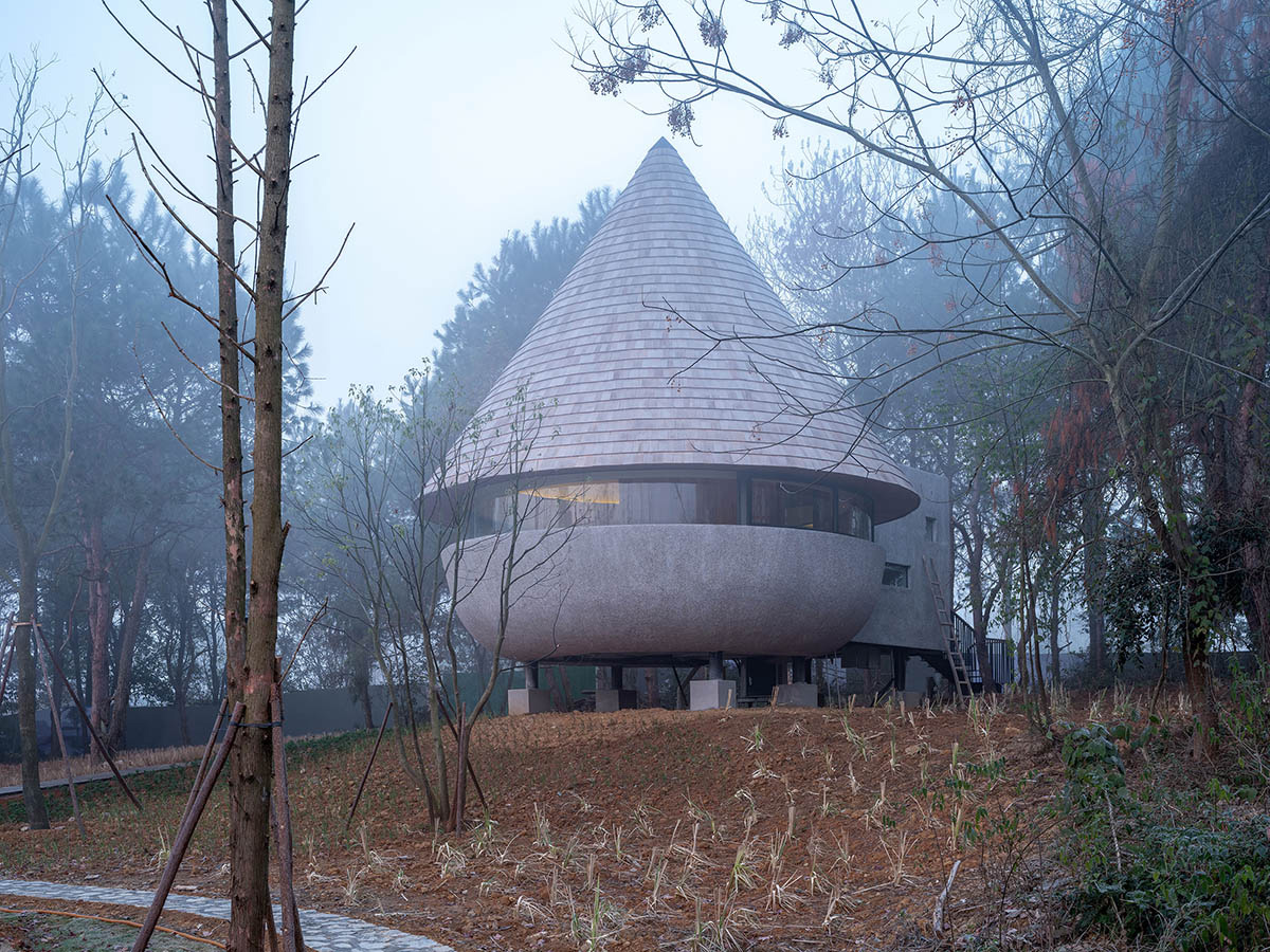 Дом-гриб в сосновом лесу по проекту ZJJZ Architecture Practice .