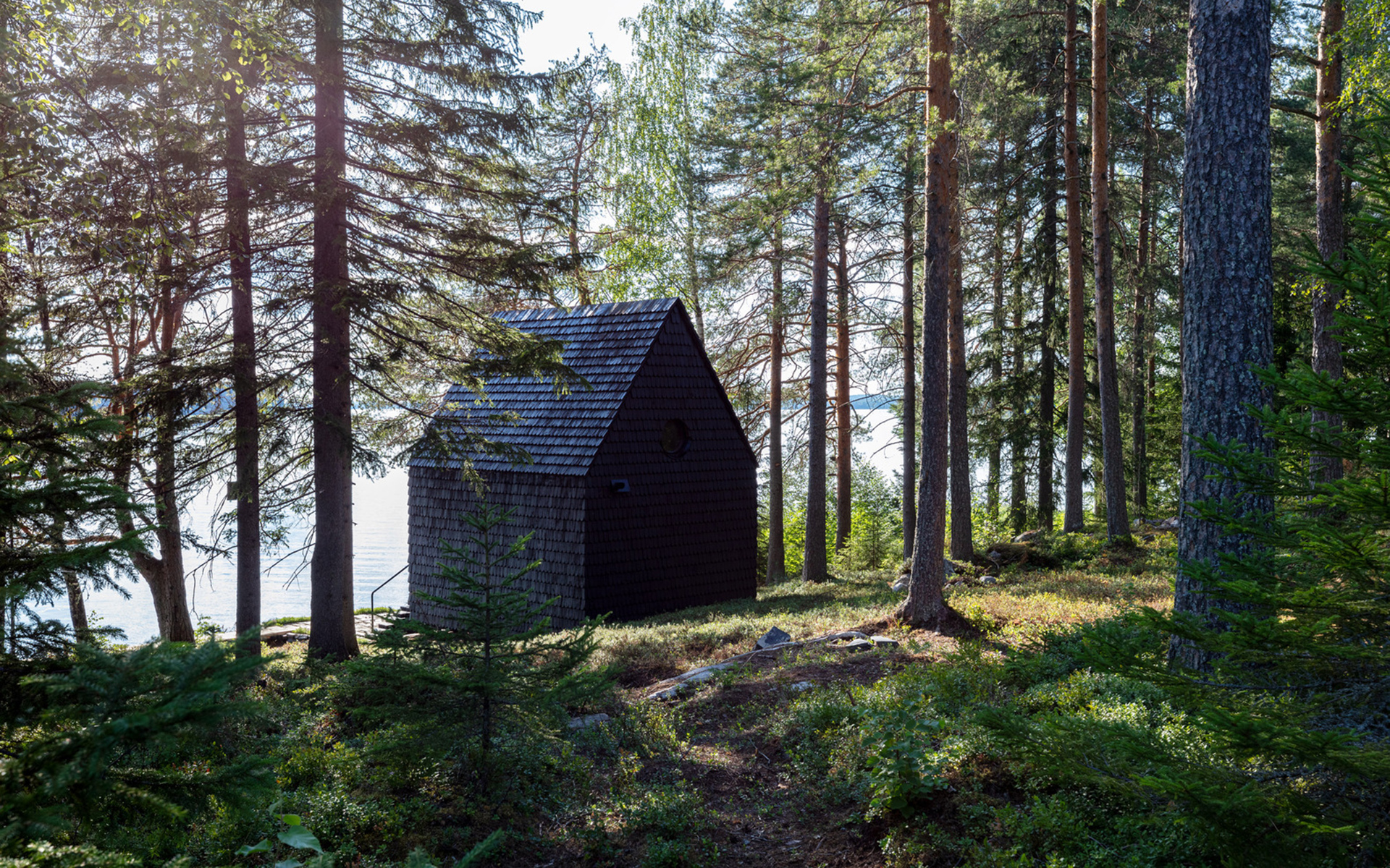 дом в лесу фото