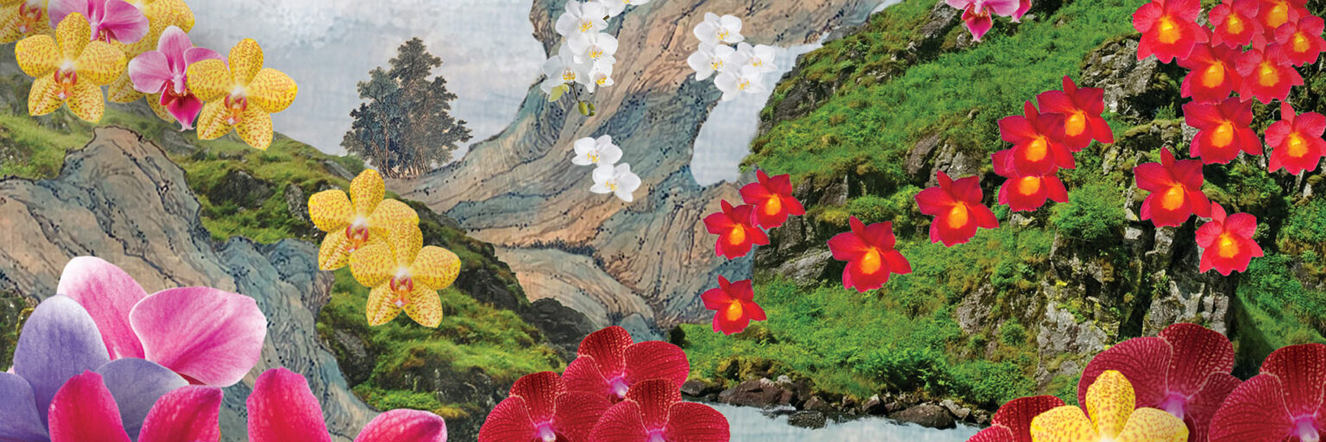 Лили Квонг: китайские пейзажи и шоу орхидей