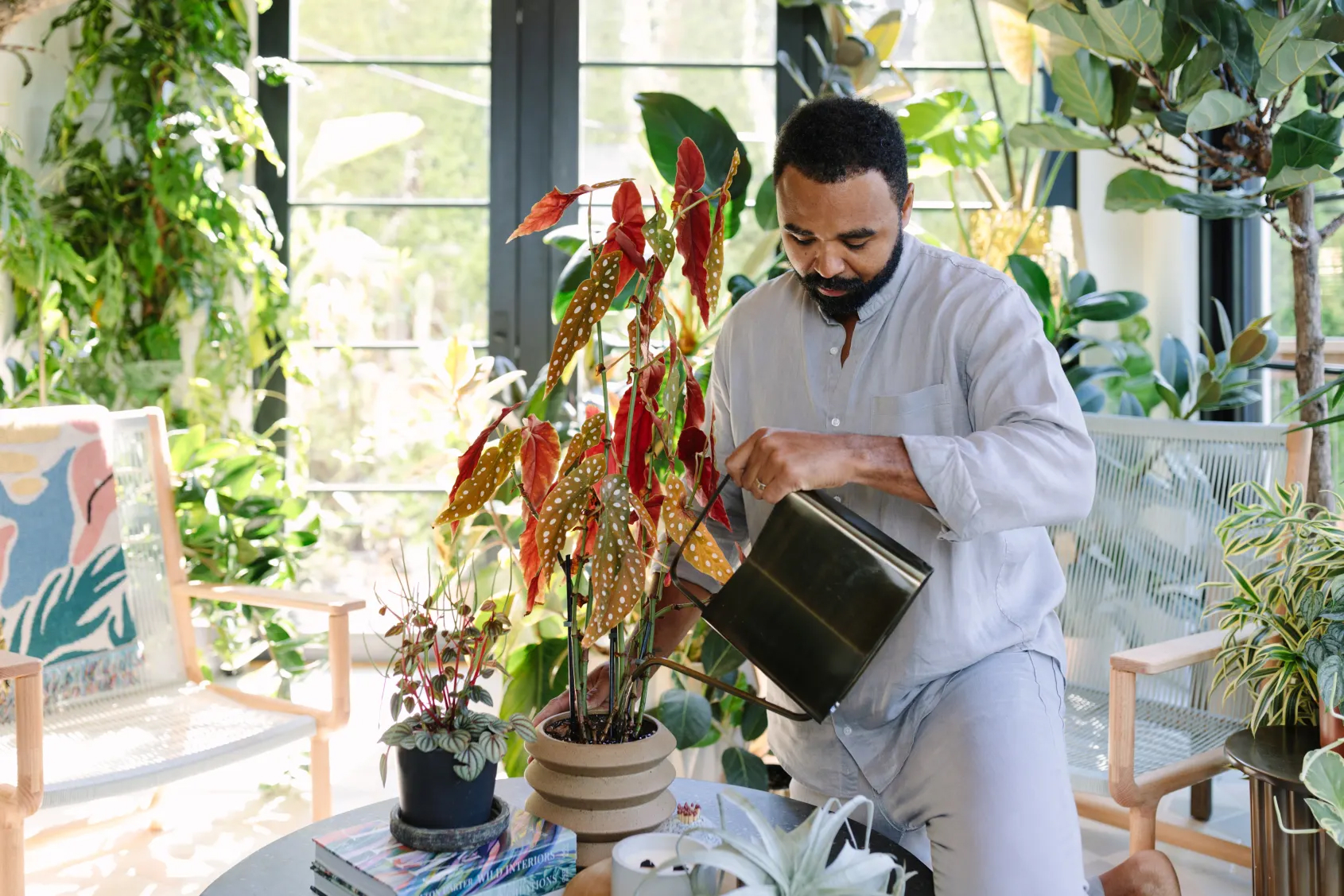 Биофилия: 300 комнатных растений в доме Хилтона Картера