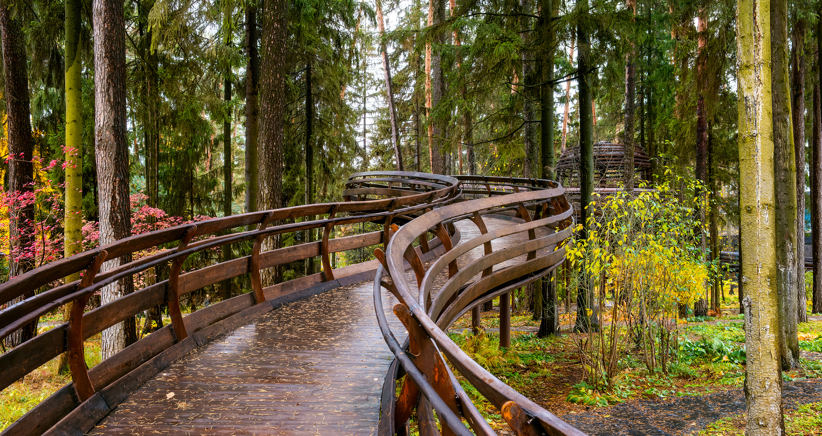 Экотропа в лесу как архитектурное высказывание: проект «Бюро Земля»