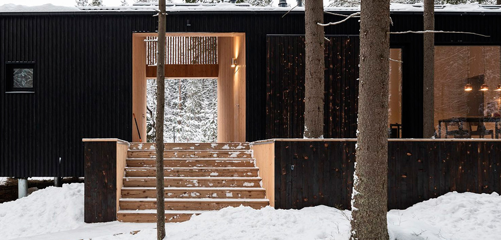 Архитекторы «Хвоя»: дом на краю леса