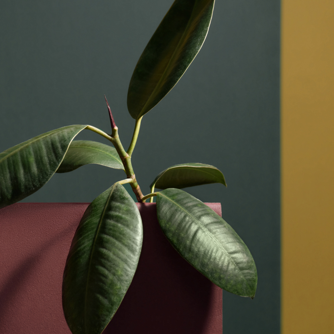 Вдохновляясь цветом: краска Tikkurila Harmony Velure в интерьере