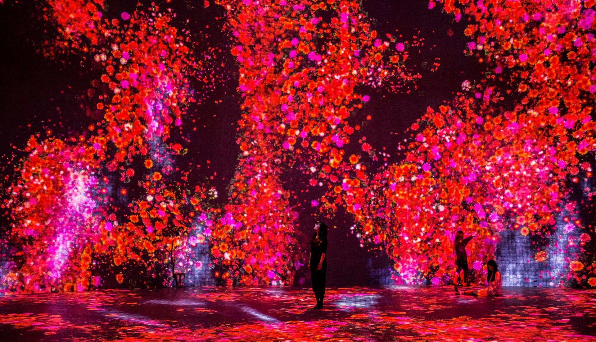 Aрт-центр Superblue: пространство иммерсивных инсталляций для нового поколения