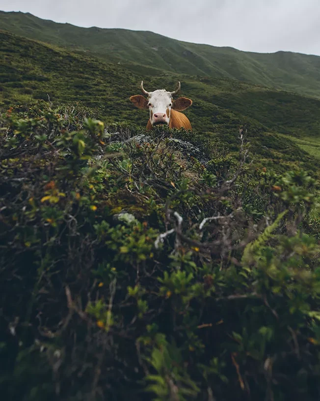 тренды дизайна фото