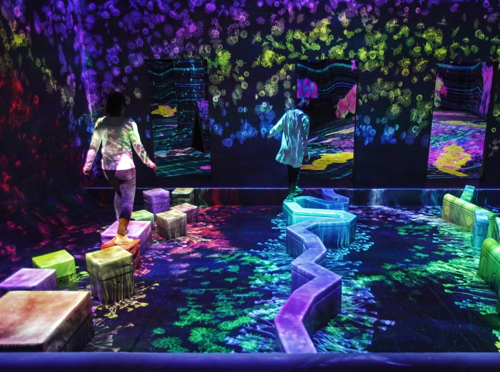 Музей цифрового искусства teamLab фото