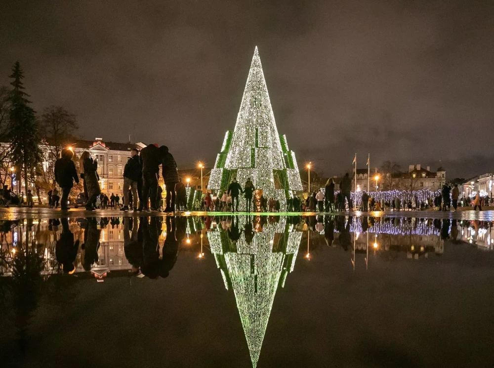 Рождественская елка фото