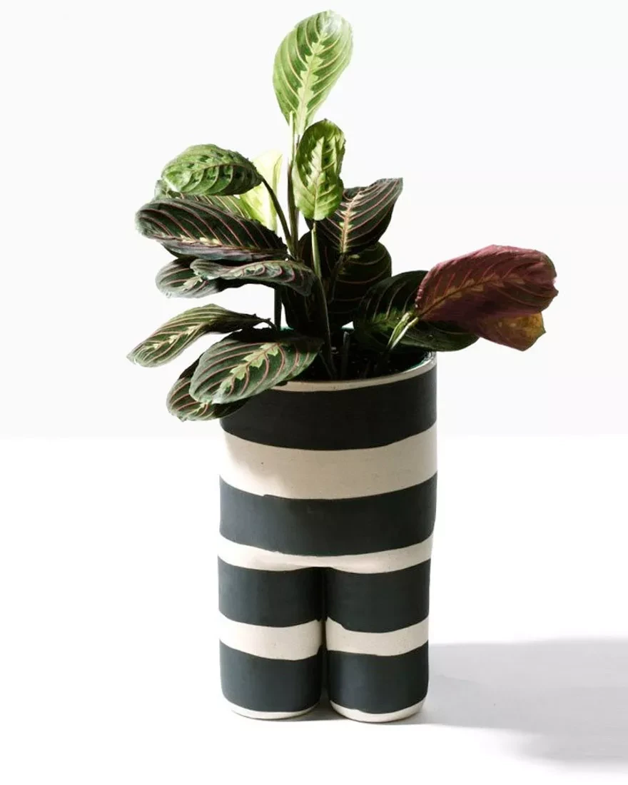 Дизайн для растений фото
