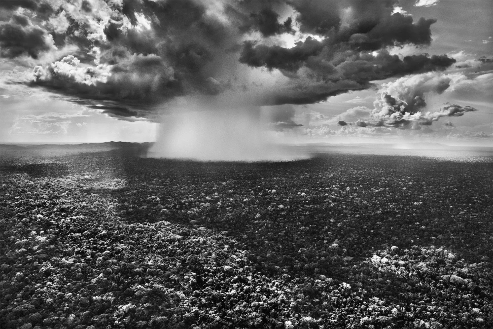 Себастьян Сальгадо фотограф фото