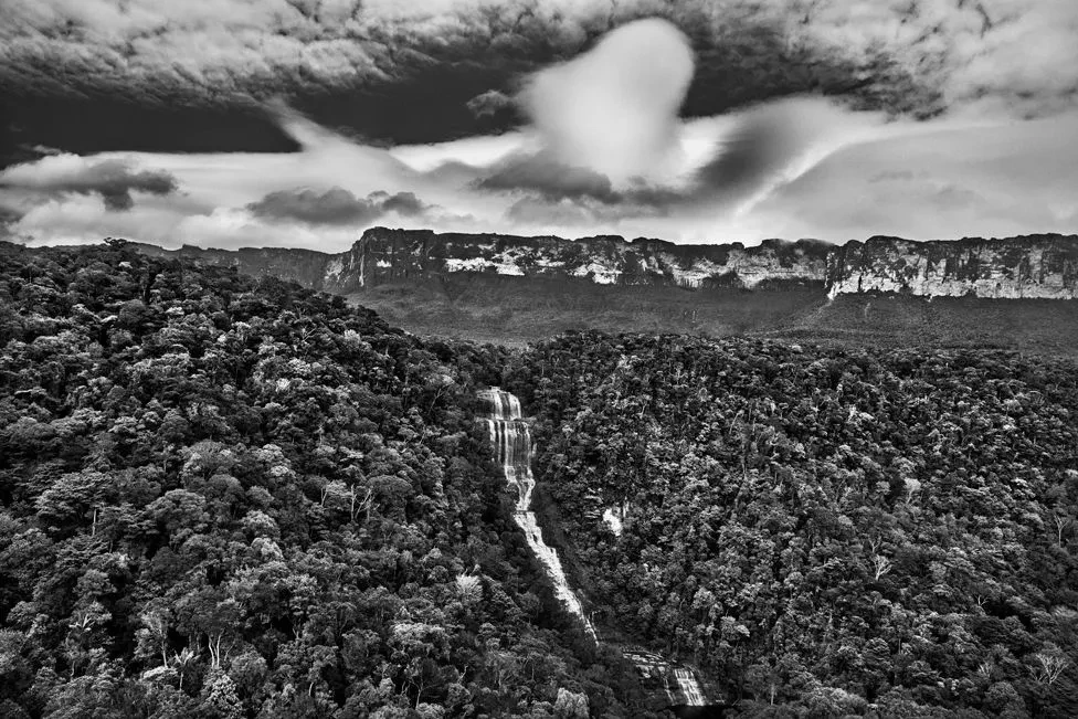 Себастьян Сальгадо фотограф фото