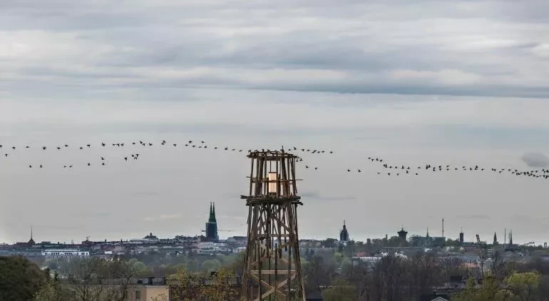 арт-биеннале в Хельсинки фото