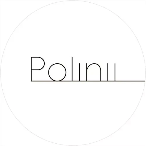 Студия Polinii лого фото