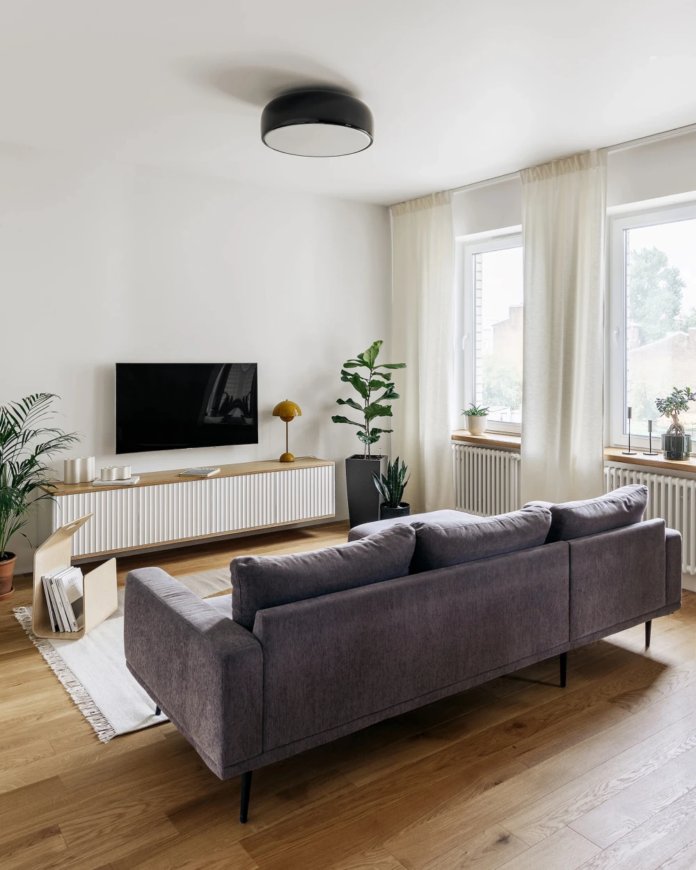 комнатные растения в интерьере фото