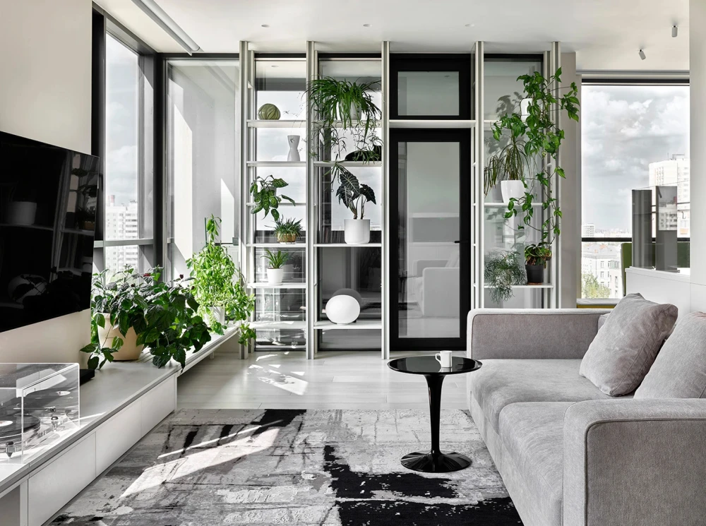 комнатные растения в интерьере фото