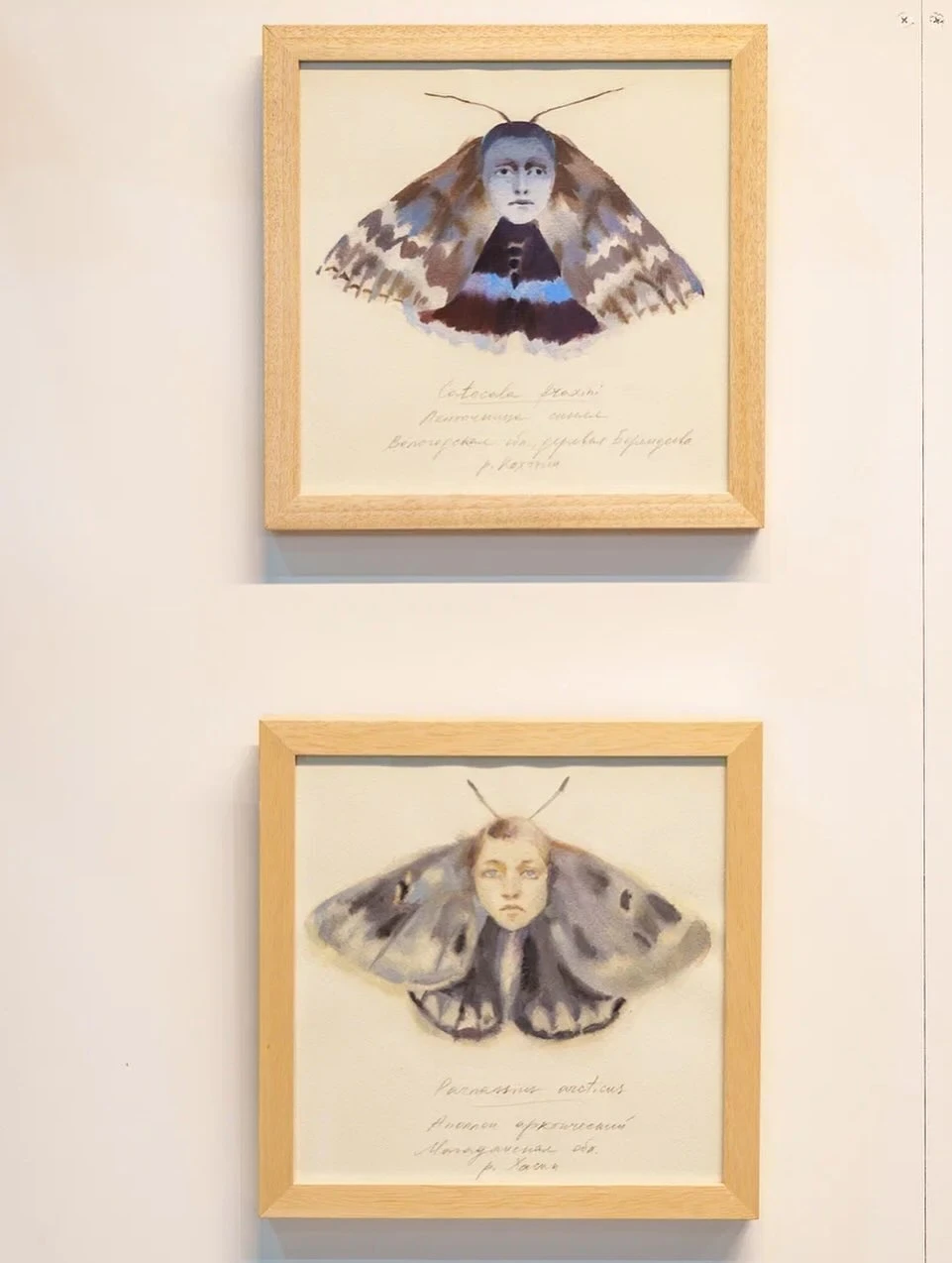 Алина Кугуш художница фото