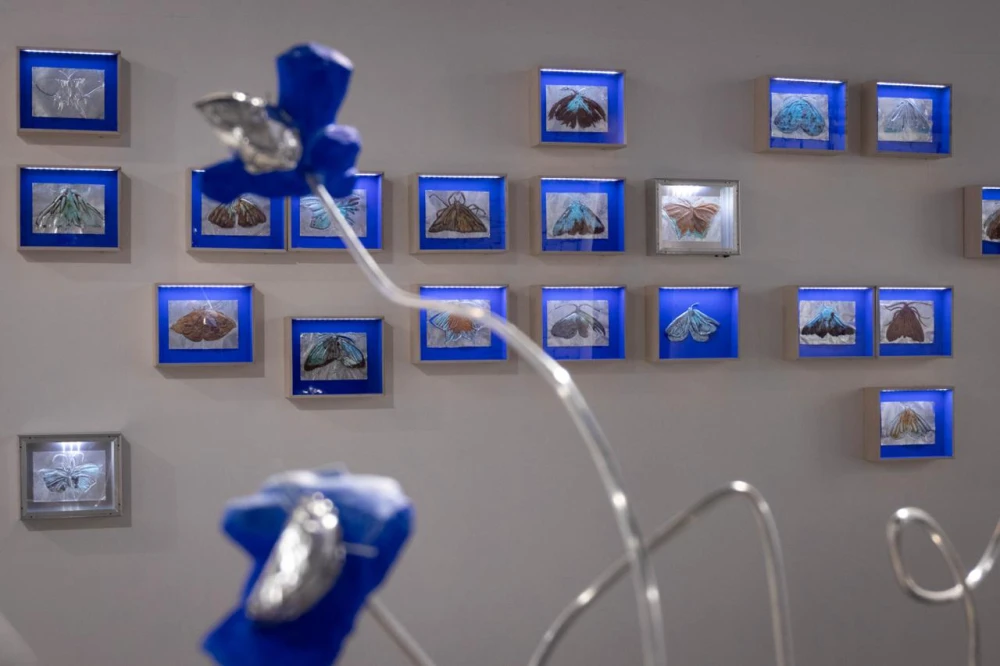 Вера Ширдина художница фото