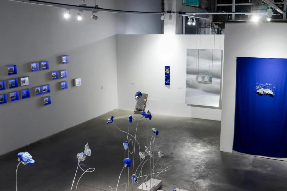 Вера Ширдина художница фото