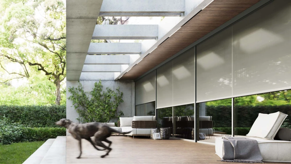 солнцезащита фото