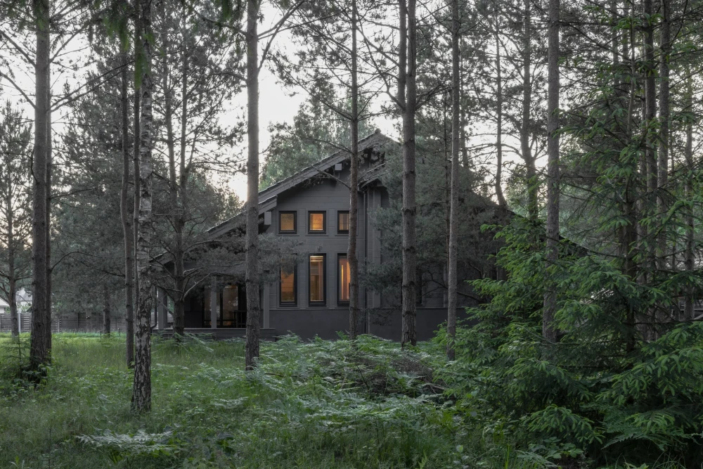 Загородный дом дизайн фото