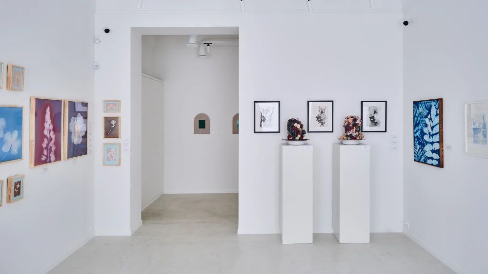 Галерея Culture в Ростове-на-Дону фото