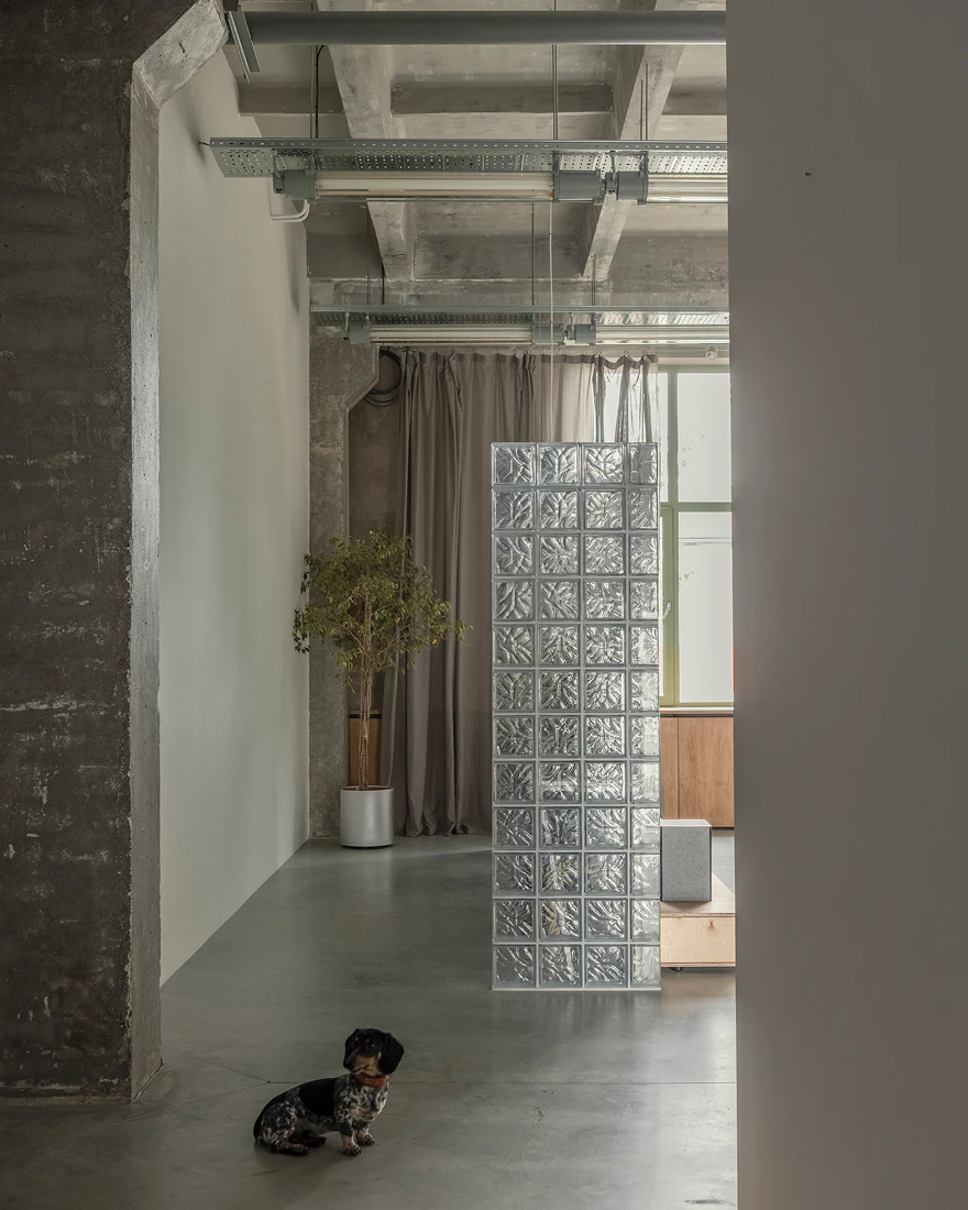 фотостудия фото