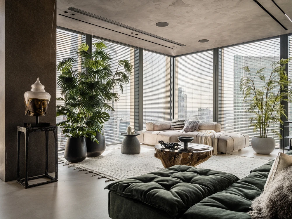 комнатные растения фото