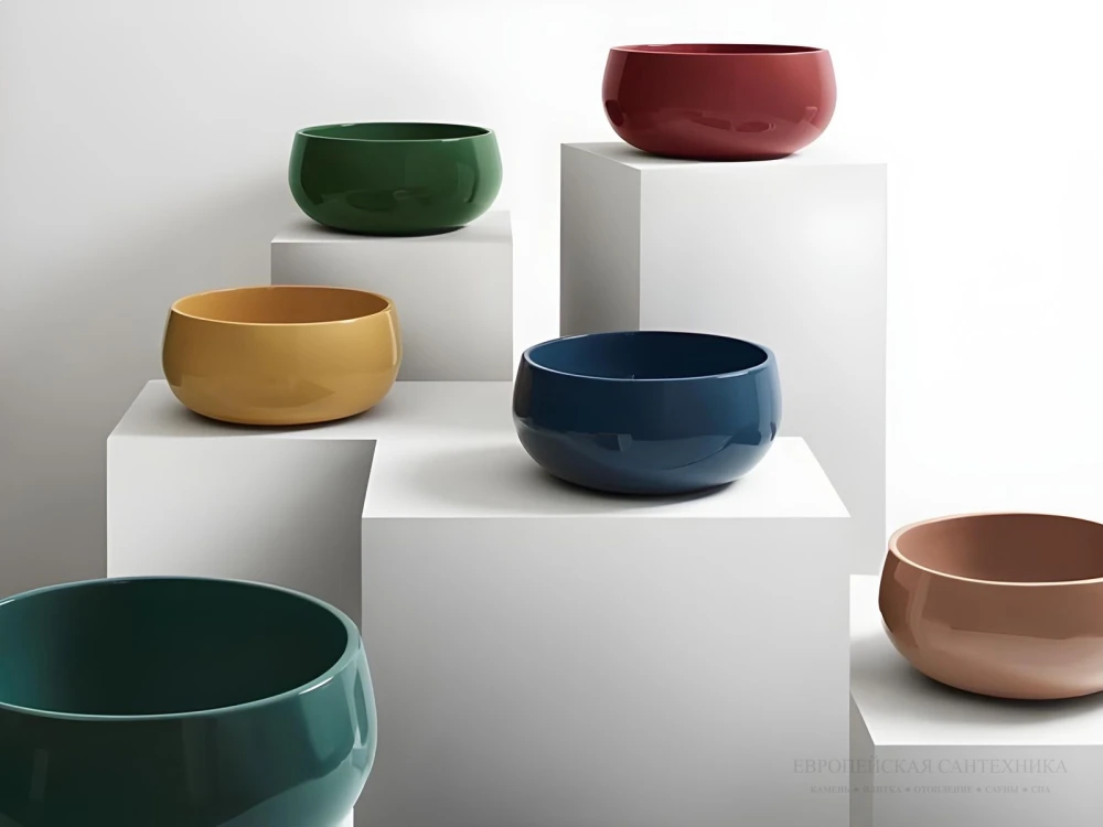 цветные раковины фото