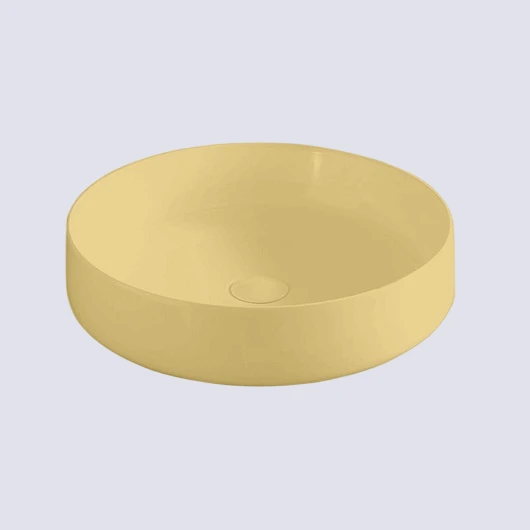 цветные раковины фото