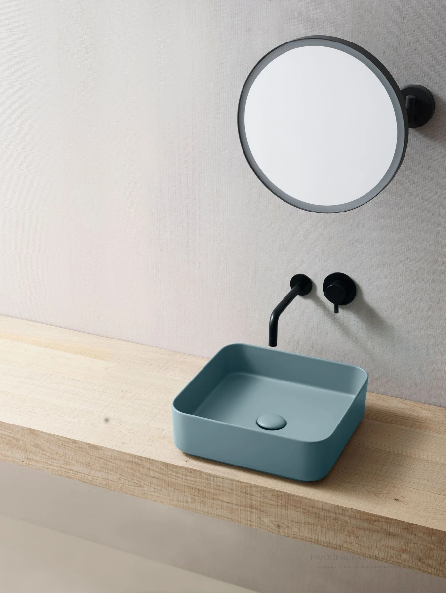 цветные раковины фото