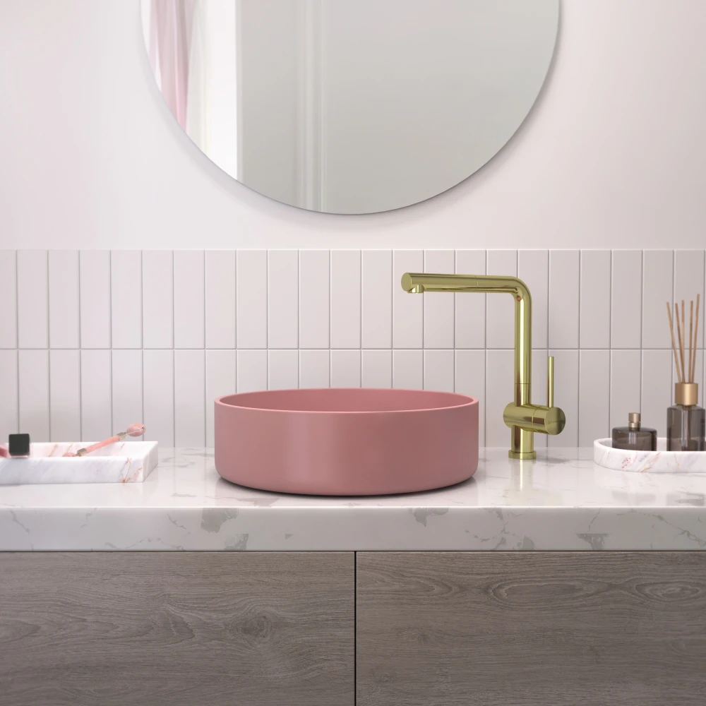 цветные раковины фото