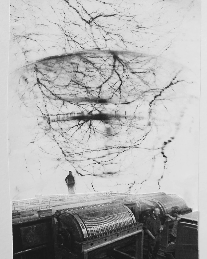 SCAN Awards фото