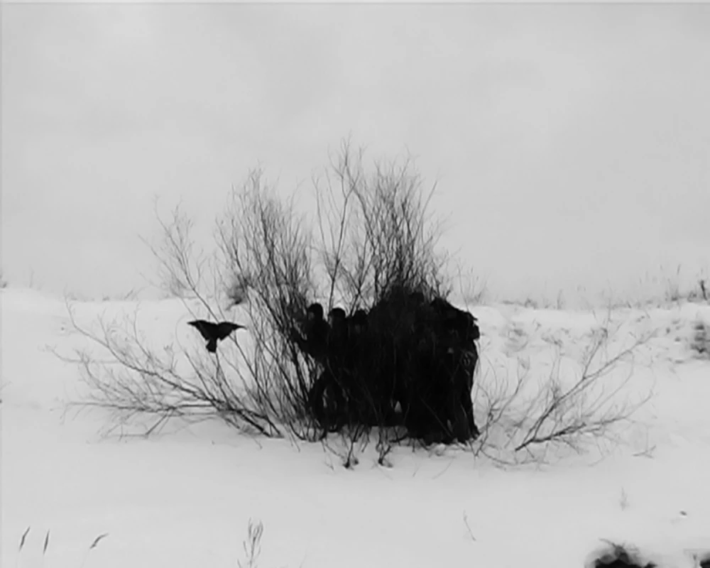 выставки в Москве фото