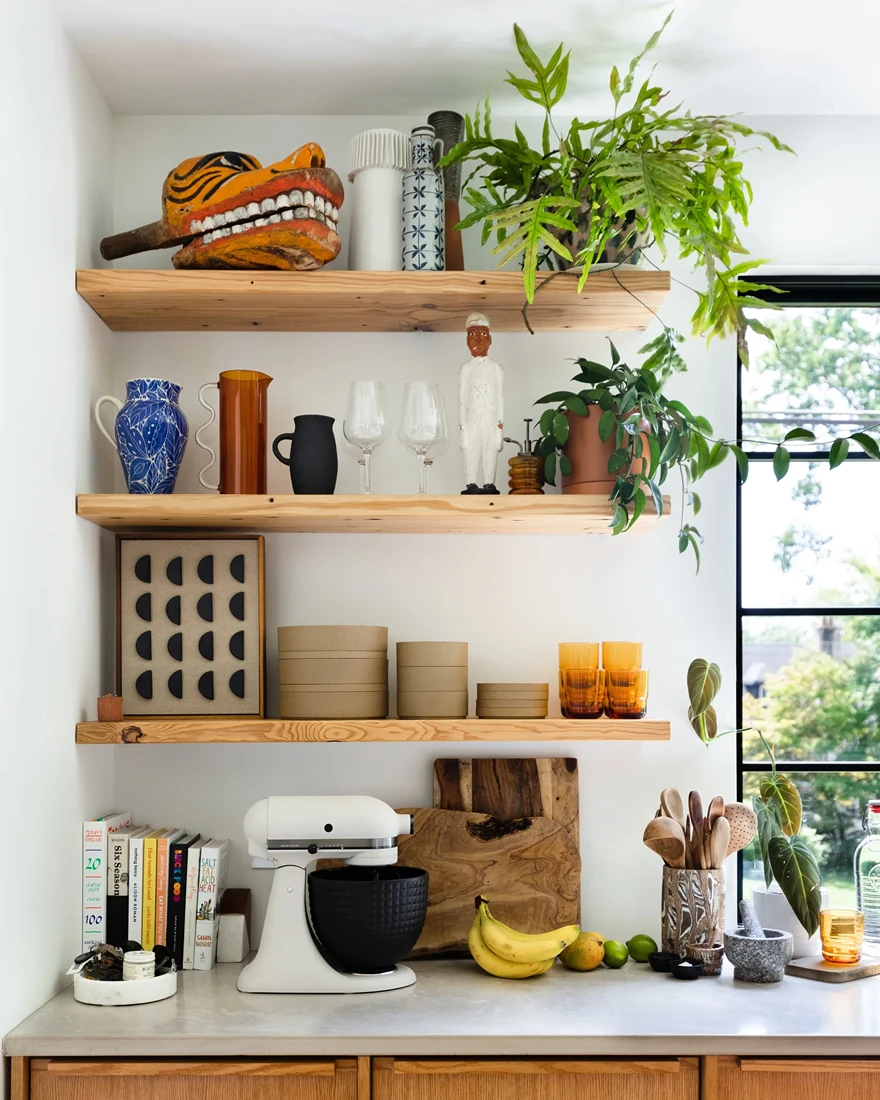 комнатные растения в интерьере фото