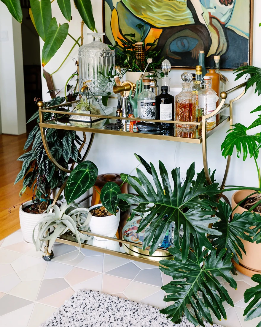 комнатные растения в интерьере фото