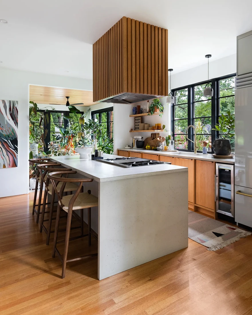 комнатные растения фото