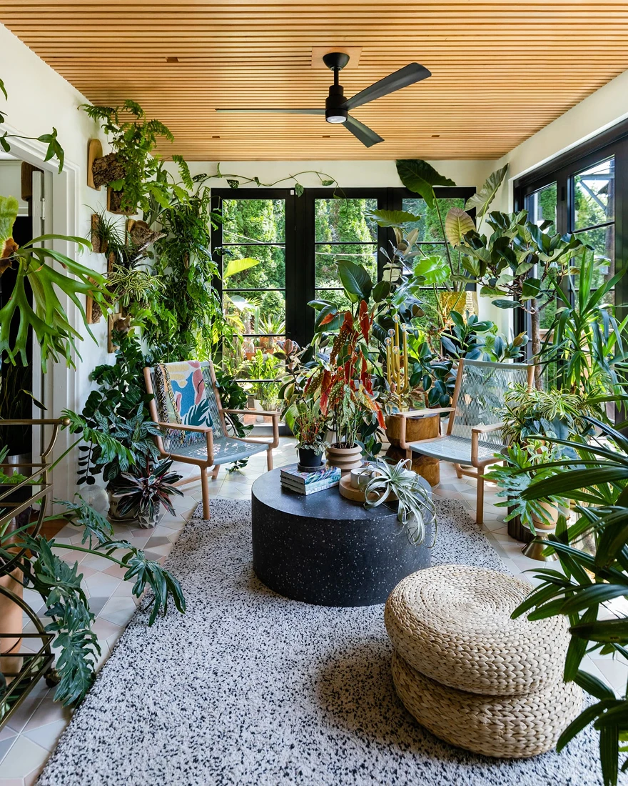 Растения в интерьере фото