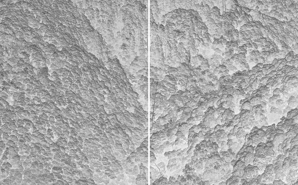 Paris Photo 2025 фото