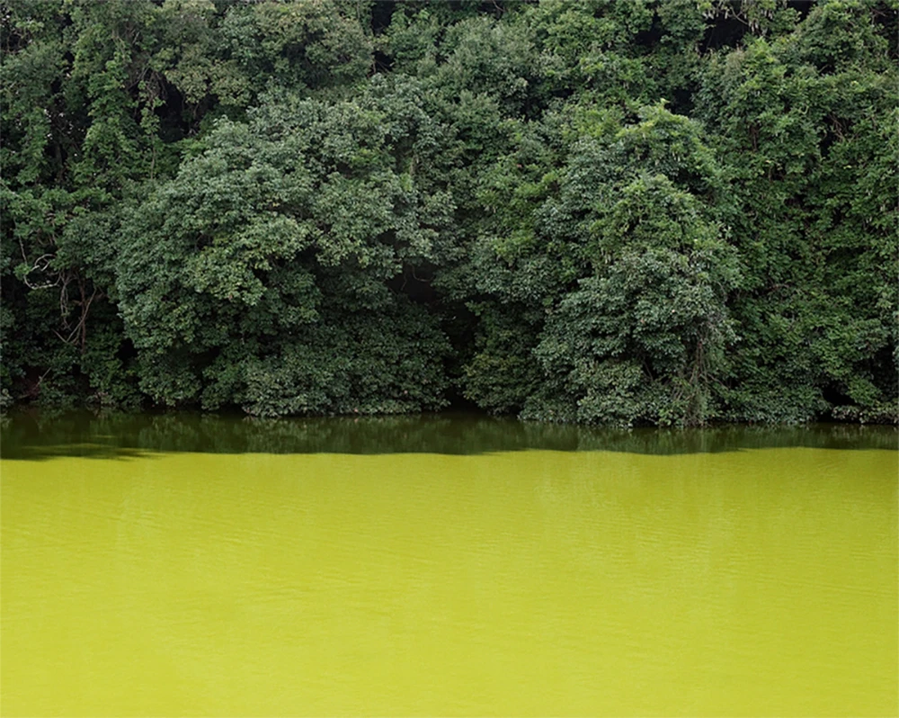 Paris Photo 2025 фото