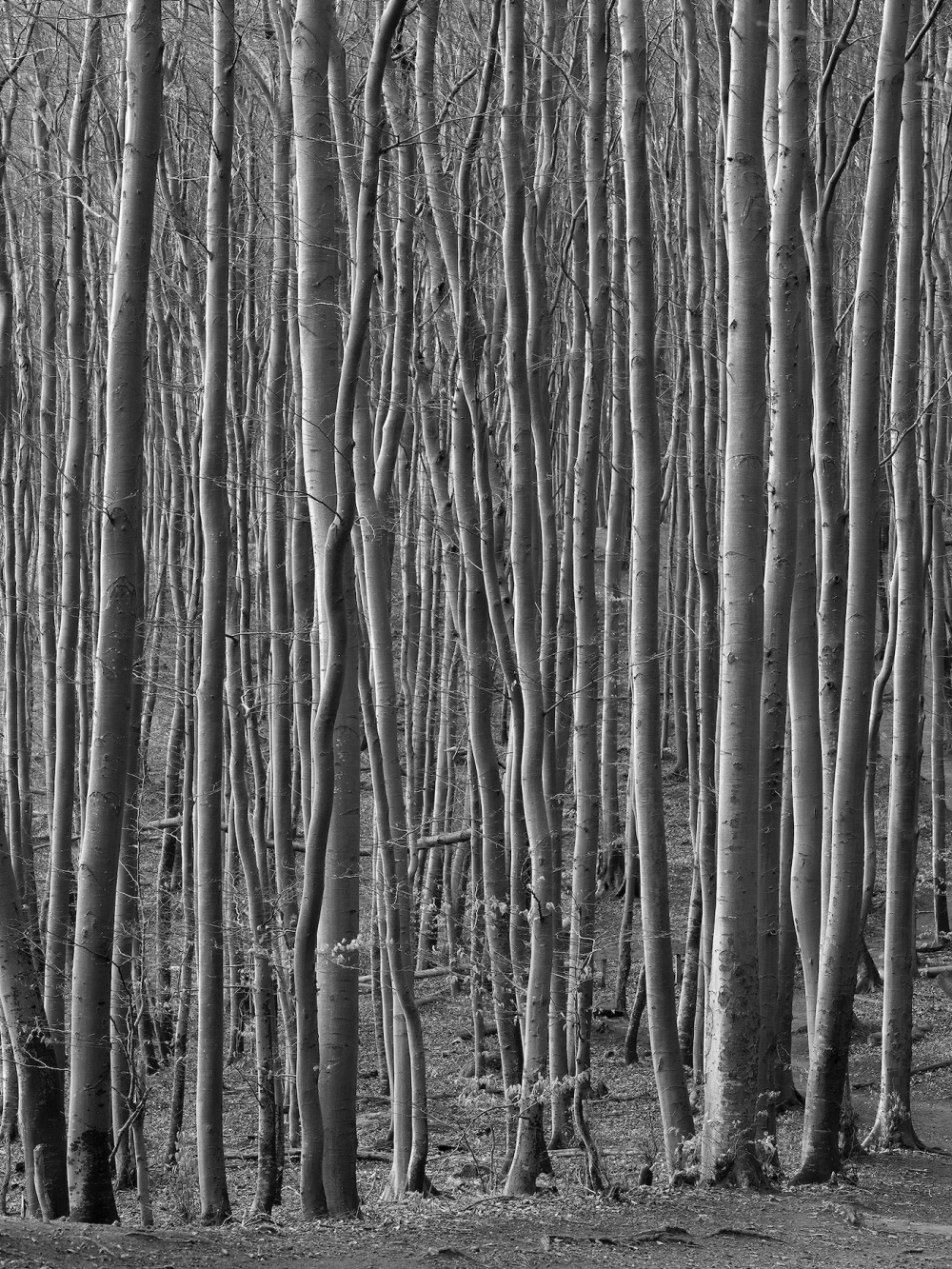 Paris Photo 2025 фото