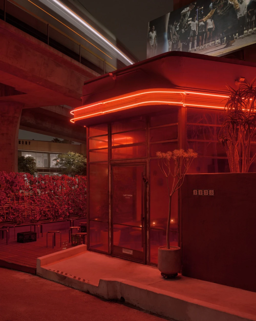 Дизайн ресторана фото